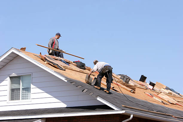 Best Steel Roofing  in Franklin Rk, PA